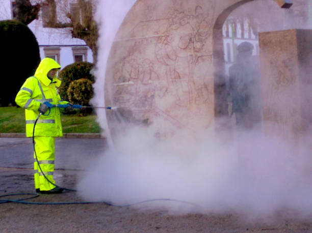 Best Pressure Washing Near Me  in West Sharyland, TX